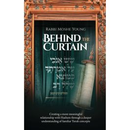 Behind The Curtain (hardcover) - Jewish Books - Feldheim Publishers