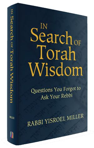 In Search Of Torah Wisdom - Jewish Books - Feldheim Publishers